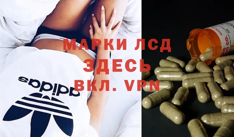 Лсд 25 экстази ecstasy  Дмитриев 